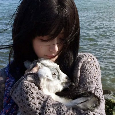 疑神疑鬼的小猪
